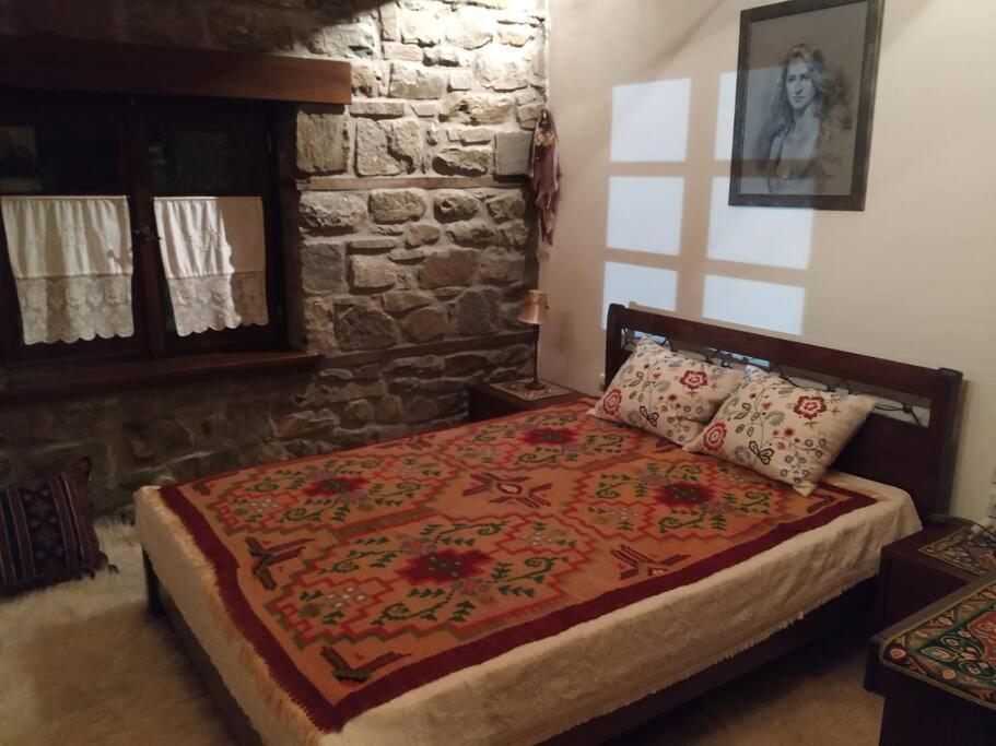 Παραδοσιακή Πέτρινη Κατοικία Στην Βλάχα Ελάτης Exterior photo